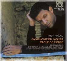 Pécou: La Symphonie du Jaguar, Vague de Pierre